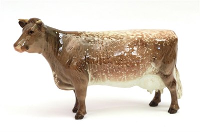 Lot 18 - Beswick Dairy Shorthorn Cow Ch. ''Eaton Wild Eyes 91st'', model No. 1510, brown and white gloss...