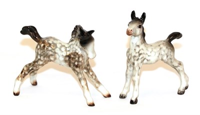 Lot 19 - Beswick Foal (small, stretched, facing right), model No. 815 and Foal (small, stretched,...
