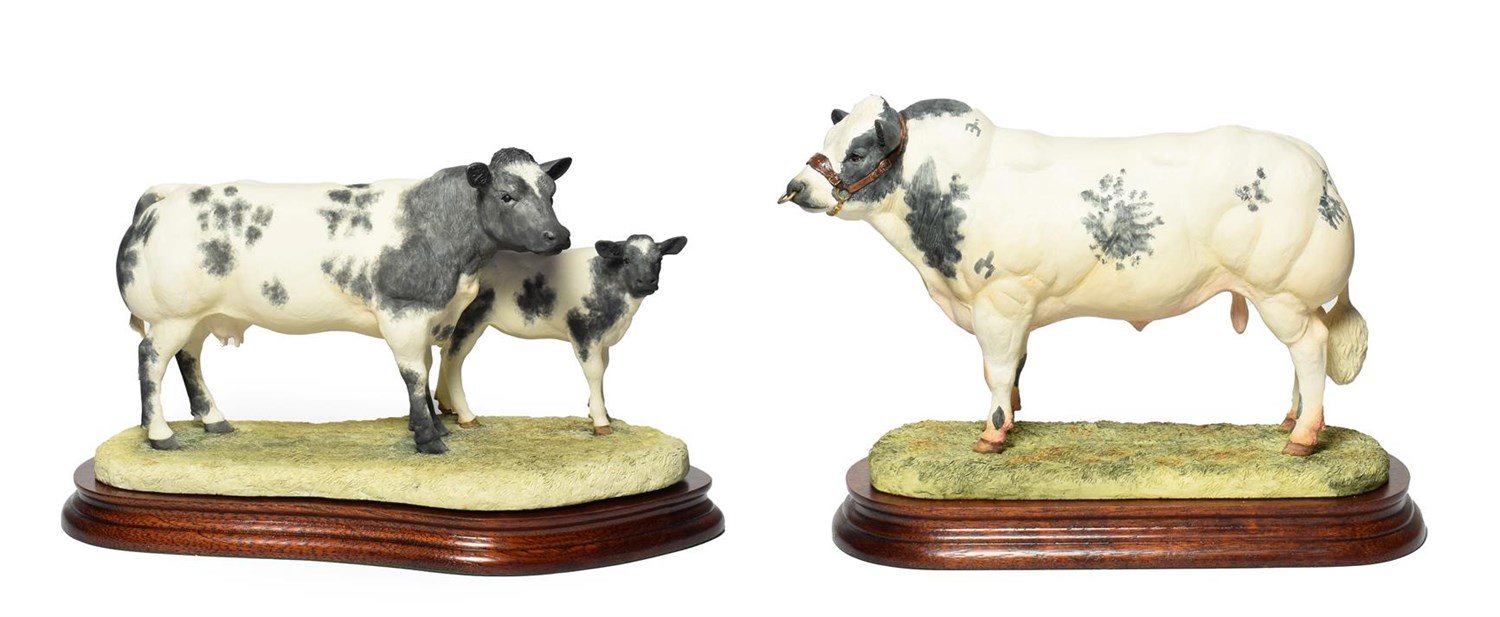 Lot 49 - Border Fine Arts 'Belgian Blue Cow and Calf' (Style One), model No.B0590 by Ray Ayres, limited...