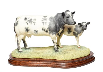 Lot 50 - Border Fine Arts 'Belgian Blue Cow and Calf' (Style One), model No. B0590 by Ray Ayres, limited...