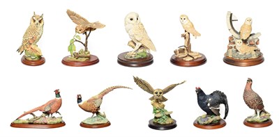 Lot 52 - Border Fine Arts Bird Groups Including: 'Silent Sanctuary' (Barn Owl), model No. SOC1 and 'Barn...