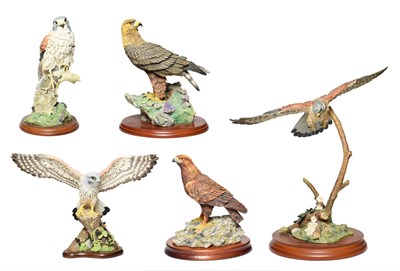 Lot 53 - Border Fine Arts Birds of Prey Groups Including: 'Golden Eagle' (Style One), model No. RB40 by...