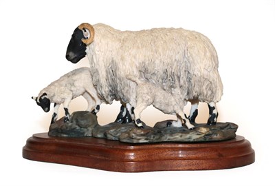 Lot 55 - Border Fine Arts 'Blackfaced Ewe and Lambs' (Style One), model No. L25 by Mairi Laing Hunt, limited