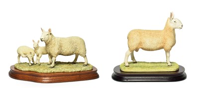 Lot 60 - Border Fine Arts 'North Country Cheviot Ewe with Scotch Halfbred Lambs' model No. L147 by Ray...