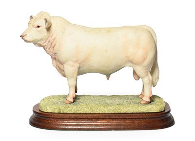 Lot 65 - Border Fine Arts 'Charolais Bull' (Style One), model No. L112 by Ray Ayres, limited edition...