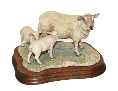 Lot 72 - Border Fine Arts 'Charolais Ewe and Lambs', model No. L121 by Ray Ayres, limited edition...