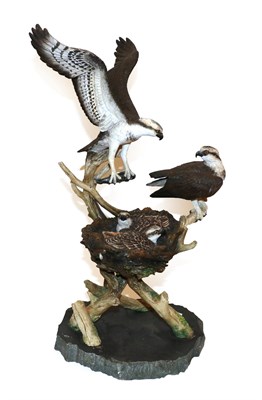 Lot 100 - Border Fine Arts 'Fresh from the Spey', (Osprey feeding young), model No. B1272, by Keith...