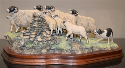 Lot 102 - Border Fine Arts 'Gathering in the Strays' (Sheep and Collie), model No. JH28 by Ray Ayres, limited
