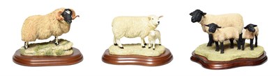 Lot 153 - Border Fine Arts Sheep Groups Comprising: 'Suffolk Ewe and Lambs' (Style Three), model No. B0778 by