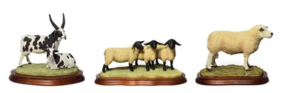 Lot 154 - Border Fine Arts Sheep Groups Comprising; 'Texel Ram' (Style Two), model No. B0530 by Jack...