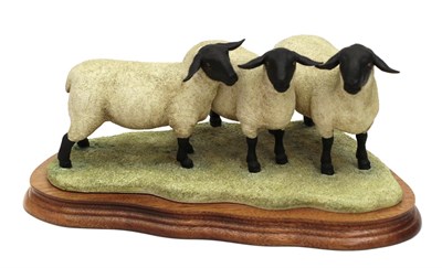 Lot 167 - Border Fine Arts 'Suffolk Family Group' (Ram with Gimmer and Ewe Lambs), model No. B0197 by Ray...