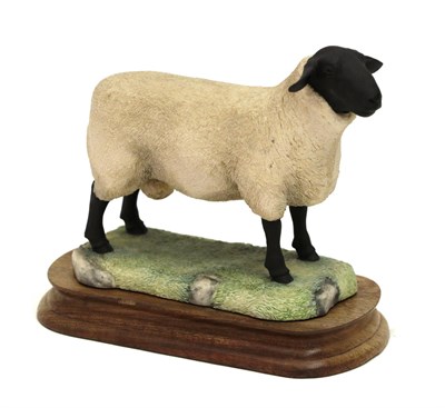 Lot 168 - Border Fine Arts 'Suffolk Ram' (Style One), model No. L40 by Ray Ayres, limited edition...