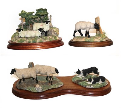 Lot 169 - Border Fine Arts Sheep Models Comprising: 'Summer Shade', model No. B0340, limited edition...