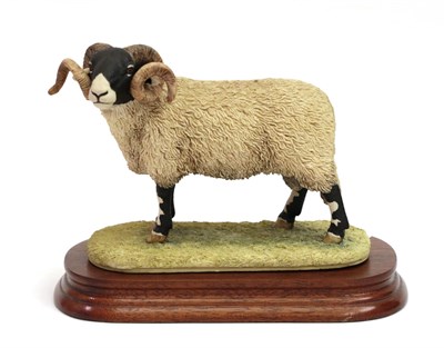 Lot 172 - Border Fine Arts 'Swaledale Tup' (The Monarch of the Dales), model No. L148 by Ray Ayres,...