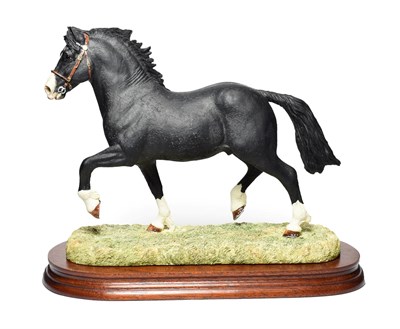Lot 193 - Border Fine Arts 'Welsh Cob Stallion', model No. B0240A by Anne Wall, limited edition 578/1250,...