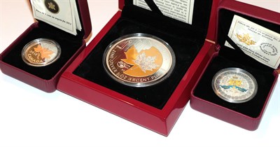 Lot 39 - Canada, 5 Ounce Silver 50 Dollars 2013 struck by The Royal Canadian Mint to commemorate the...