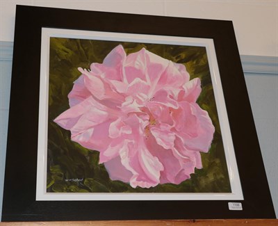 Lot 1106 - William Ireland (20th Century) Study of a pink peony, signed, oil on board, 51.5cm by 51.5cm