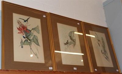 Lot 1108 - After John Gould, three hand-embellished ornithological prints, 50cm by 30.5cm (3)