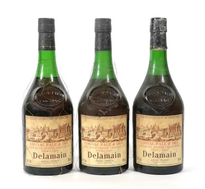 Lot 5051 - Delamain Cognac, Trés Belle Grande Champagne Cognac Pale & Dry (three bottles)