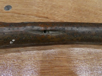 Lot 313 - Two Early 19th Century Australian Aboriginal Waddies, one following the natural curves of a branch