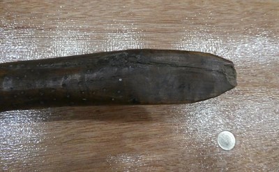 Lot 313 - Two Early 19th Century Australian Aboriginal Waddies, one following the natural curves of a branch