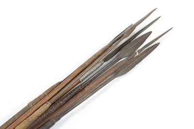 Lot 320 - A Collection of Eight Late 19th Century Zulu Throwing Spears (Isijula), each with leaf shape...