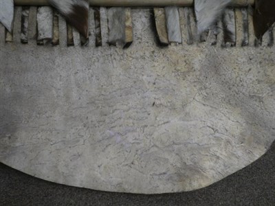 Lot 329 - Two 20th Century Zulu Cow Hide Shields, each of tan and white colouring, of elliptical form,...