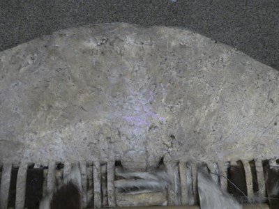 Lot 329 - Two 20th Century Zulu Cow Hide Shields, each of tan and white colouring, of elliptical form,...