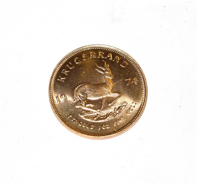 Lot 171 - South Africa, 1974 Krugerrand. 1 oz. fine gold (.999). Obv: Bust of Paul Kruger left. Rev:...