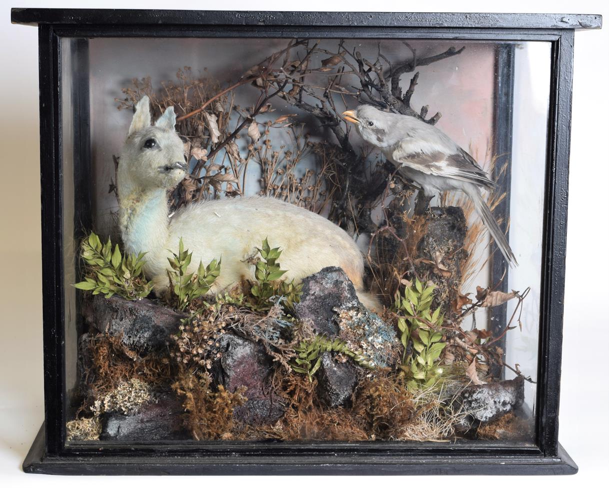 Lot 1010 - Taxidermy: A Cased Fallow Deer Fawn and Great Grey Shrike, circa 1900, a full mount deer fawn...
