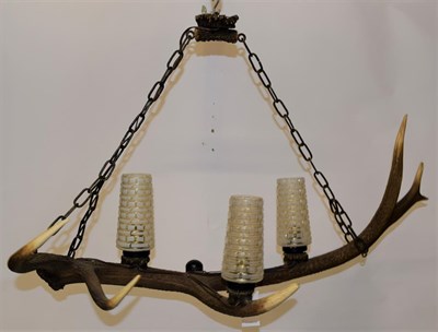 Lot 1019 - Antler Furniture: Red Deer & Fallow Antler Mounted Chandeliers, circa late 20th century, a Red deer