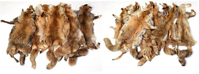 Lot 1039 - Hides/Pelts: A Quantity of Red Fox Pelts, late 20th century, eleven full Red Fox pelts,...