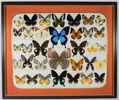 Lot 1056 - Entomology: A Framed Display of Tropical Butterflies, circa late 20th century, a display of...
