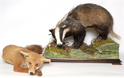 Lot 1061 - Taxidermy: European Badger & Red Fox (Meles meles/ Vulpes vulpes), circa late 20th century, a...