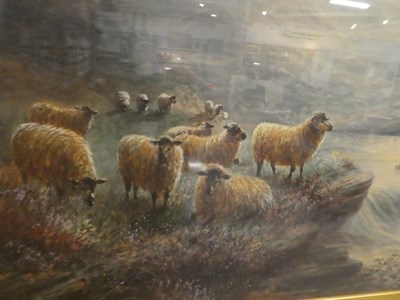 Lot 1129 - Albert Milton Drinkwater (1862-1923), Sheep in a Highland landscape, signed watercolour; with H...