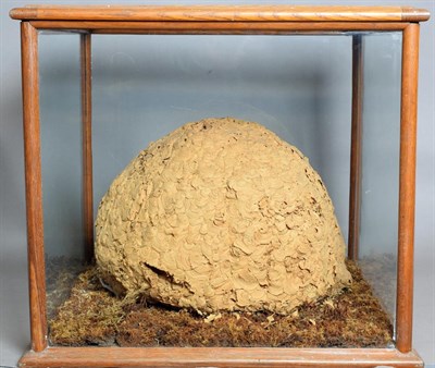 Lot 2067 - Natural History: A Large Hornets Nest (Vespa crabro), circa early 20th century, a large natural...