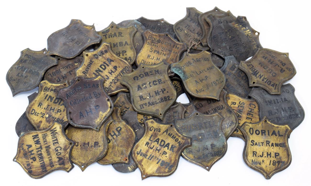 Lot 2075 - Natural History: A Quantity of Copper Taxidermy Identification Shields, circa 1870, forty four...