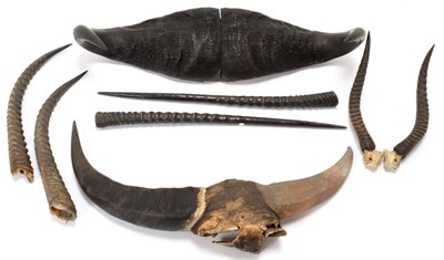 Lot 2109 - Antlers/Horns: A Collection of African Game Trophy Horns, circa 1930, South Africa, comprising...