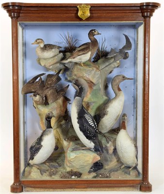 Lot 2111 - Taxidermy: A Large Cased Diorama of Arctic Birds, circa 1875, Arctic Seas, by Henry Shaw,...