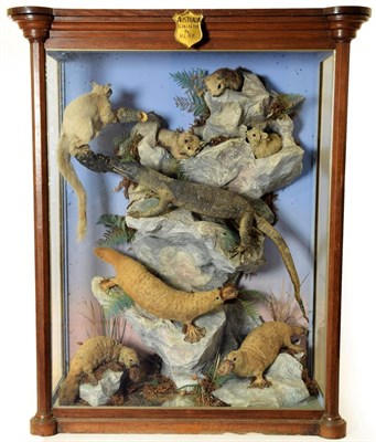Lot 2112 - Taxidermy: A Large Cased Diorama of Australian Mammals and Reptile, circa 1876, Australia, by Henry