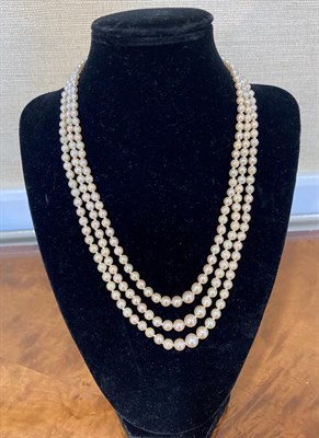 Lot 2072 - A Three Row Cultured Pearl Necklace, the 79:85:88 cultured pearls knotted to an oval clasp...