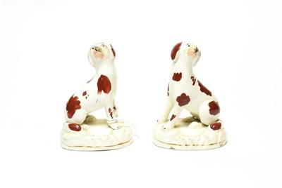 Lot 99 - A pair of Staffordshire seated spaniels circa 1840, painted with red liver patches, 9cm high