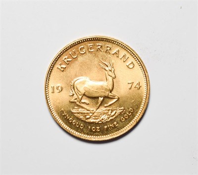 Lot 362 - South Africa, 1974 Krugerrand. 1 oz. fine gold (.999). Obv: Bust of Paul Kruger left. Rev:...