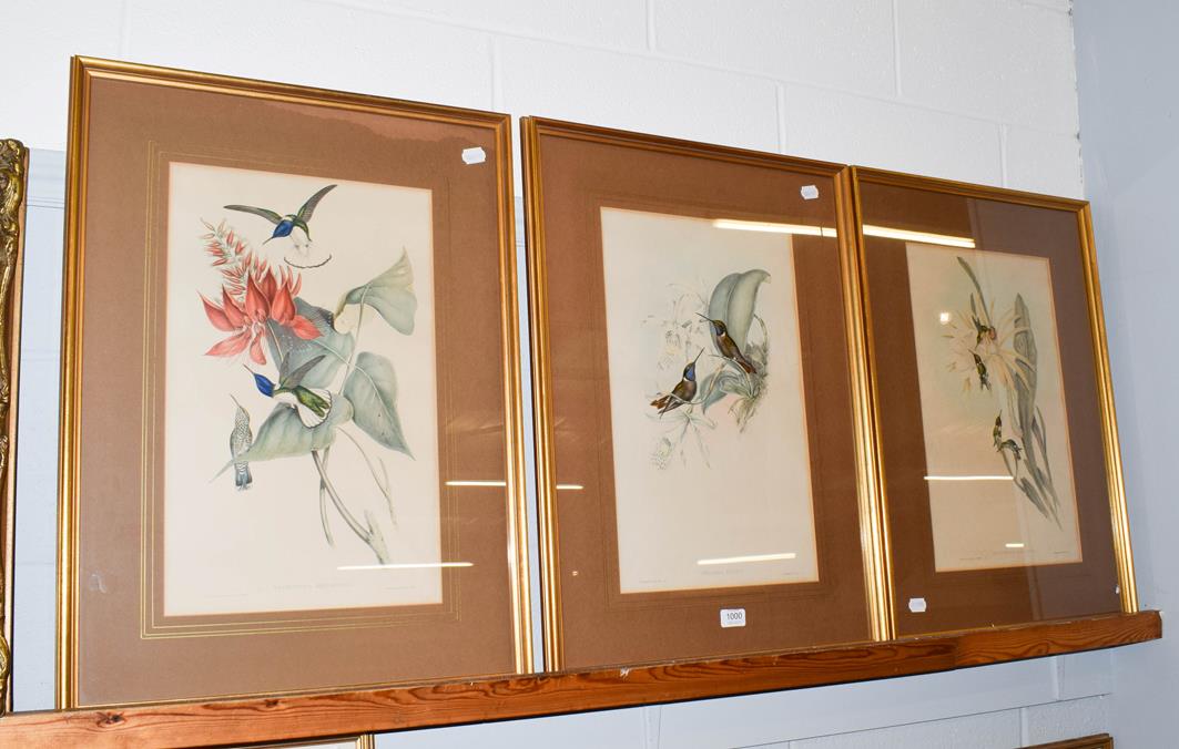 Lot 1000 - After John Gould, three hand-embellished ornithological prints, 50cm by 30.5cm (3)