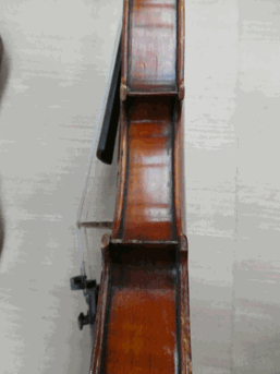 Lot 3008 - Violin 13 15/16'' two piece back, labelled 'Giuseppi Bossi Stradella'