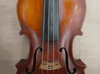 Lot 3008 - Violin 13 15/16'' two piece back, labelled 'Giuseppi Bossi Stradella'