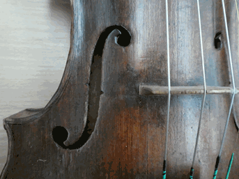 Lot 3010 - Violin 14 1/4'' two piece back, no label