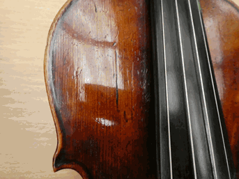 Lot 3021 - Violin 14'' two piece back, labelled 'Lorenzo Storioni Cremona 1781'
