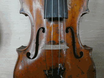 Lot 3022 - Violin 14'' two piece back, with illegible label