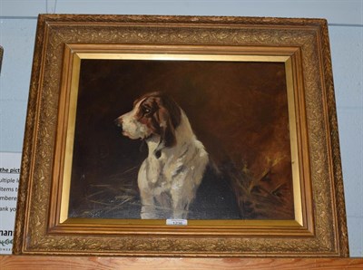 Lot 1236 - Follower of John Emms (1843-1912) 'Finlay' - portrait of an expectant hound, bears inscription,...